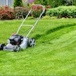 Lawn Mowers That Tackle Every Yard