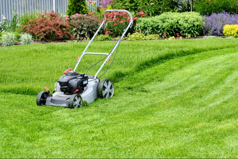 Lawn Mowers That Tackle Every Yard