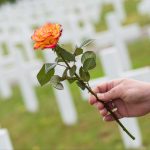 Fremtiden for kremeringsomkostninger i Danmark