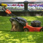 How Much Should Lawn Care Cost