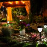 Solar Garden Lights That Brighten Your Evenings