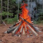 Découvrez le monde du bois de chauffage en France