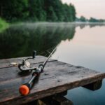 Quality Fishing Rods for Your Next Angling Adventure