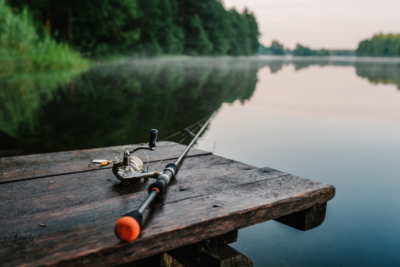 Quality Fishing Rods for Your Next Angling Adventure