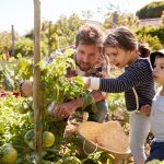 Why Growing Your Own Food Might Be Worth It